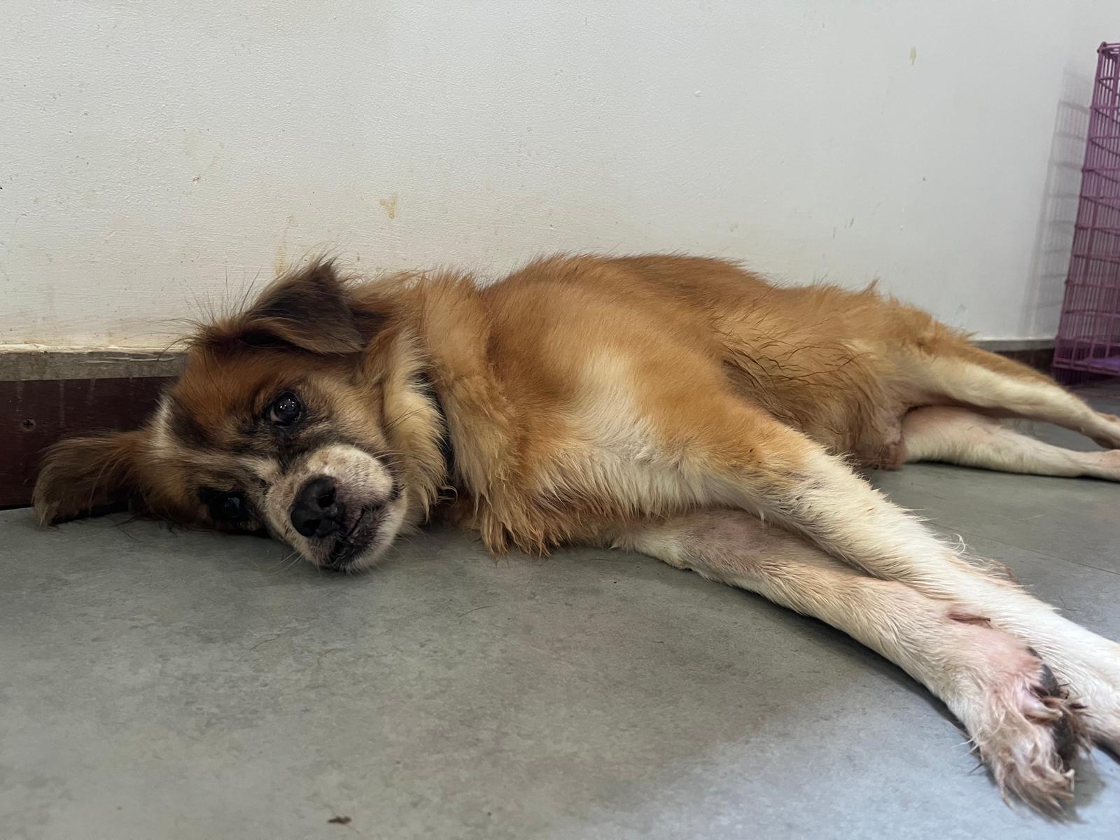 736b6098-9cdf-4caa-9d1b-4f69c496b7c2